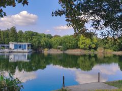 -上海共青森林公园