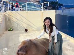-泉城欧乐堡海洋极地世界