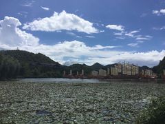-青岩古镇