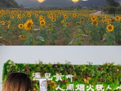 -云漫湖生态度假公园