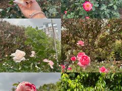 -人民公园(罗湖区)