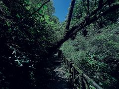 -龙苍沟森林公园