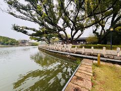 -江心屿景区