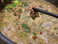-榕江牛瘪牛肉火锅