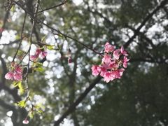 -乌山风景区