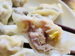 白菜鲜肉饺-袁记云饺(邯郸路店)