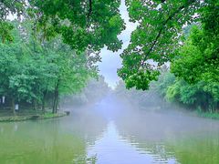 -西溪国家湿地公园