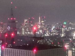 -东京都厅舍