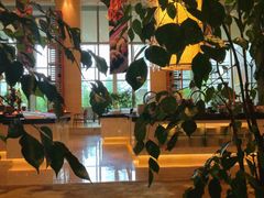 大堂-上海新发展亚太JW万豪酒店