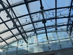 -Tubestation站点比萨(五道营店)