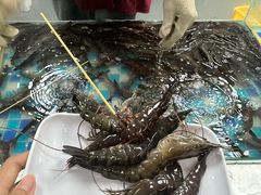 -养牛邓·潮汕牛肉海鲜自助火锅(广州店)