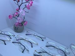 -臻美视爵眼镜·明月·依视路·蔡司折扣店(广渠门店)