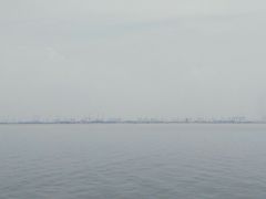 -大湾区中央湿地公园