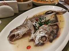 -新黄埭大酒店丨宴会厅(润元路店)