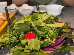 -慢丽江·云南野生菌土鸡锅(付家庄店)