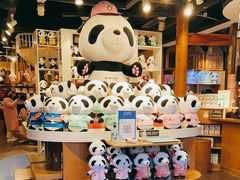 -熊猫屋(宽窄巷子景区店)