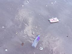 -西澳岛