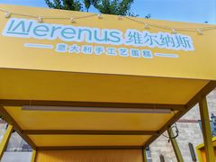 -维尔纳斯·生日蛋糕动物奶油冰淇淋蛋糕(人大店)