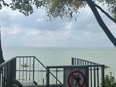 -贡湖湾湿地公园