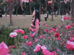 -人民公园(罗湖区)