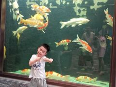 -弘安丽水温泉酒店