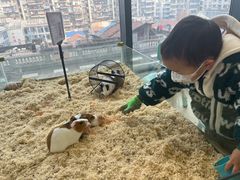 -怪兽屋·羊驼·猫咖·狗咖(俊华广场店)