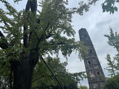 -上海佘山国家森林公园天马山园