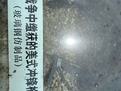 -吴淞炮台湾湿地森林公园烧烤区