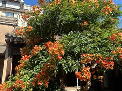 -胡氏古民居建筑