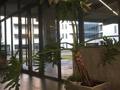 -山下C5cafe(惠通时代广场店)