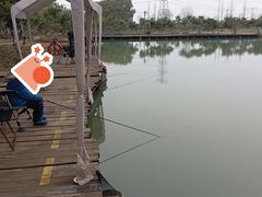 -乌村