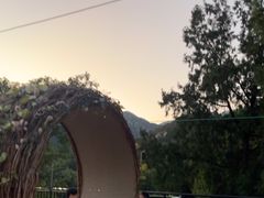 -蘇河湾·新鲁菜·泰山宴(泰山店)