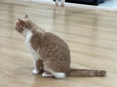 -1013 PET SHOP 宠物商店(近铁城市广场店)