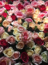 -恐龙·美甲美睫