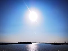 -贡湖湾湿地公园