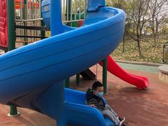 -大兴滨河森林公园