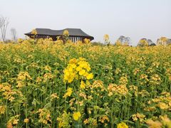 -中国天府农业博览园