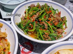 香菜炒牛肉-壹盏灯(蚂蚁工房店)