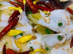 招牌老坛酸菜鱼-江渔儿酸菜鱼·拔草餐厅(虎门君乐汇店)