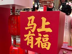 -越秀西湖花市(广州城市广场花卉店)