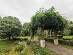 -福建鲤鱼洲酒店