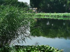-后海公园