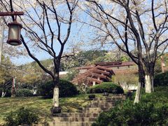 -中国茶叶博物馆(双峰馆区)
