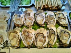 -鸽子侯·家宴·平价海鲜(市图书馆店)