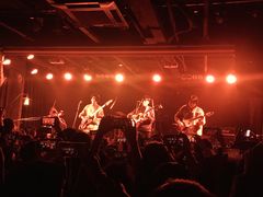 -坚果NUTS