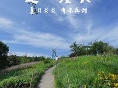 -铁山坪森林公园
