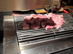 -刘记大块烤羊腿餐吧(北沙滩店)