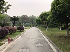 -四川大学(华西校区)