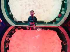 -沈阳海洋探索中心