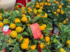 -沃尔玛超市(SM广场店)